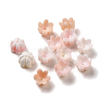 Seashell Beads SSHEL-H071-07A-1