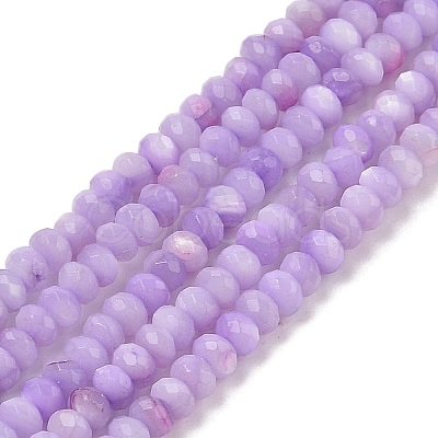 Natural Freshwater Shell Dyed Beads Strands SHEL-R100-13A-01-1