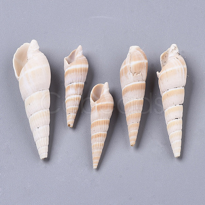 Natural Spiral Shell Beads SSHEL-S258-79-1