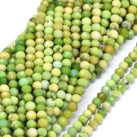 Natural Serpentine Beads Strands G-O180-02B-1