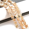 Star Natural White Shell Beads Strands BSHE-Q025-14B-2