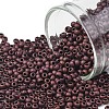 TOHO Round Seed Beads SEED-XTR11-0222F-1