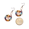 Gemstone Dangle Earrings EJEW-JE04906-01-4