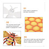 3D Iron Bee & Honeycomb Ornaments CF-TAC0001-19-3