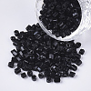 6/0 Two Cut Glass Seed Beads SEED-S033-01B-10-1