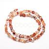 Dyed Natural Carnelian Beads Strands G-F465-22-2