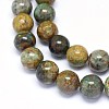 Natural Chrysocolla Beads Strands G-F602-06-10mm-3