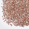 Plated Glass Seed Beads MRMJ-S034-04I-2