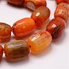 Natural Agate Bead Strands G-G879-A01-3