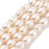 Natural Cultured Freshwater Pearl Beads Strands PEAR-P062-16B-1