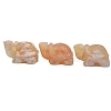 Natural Agate Tortoise Display Decorations PW-WG50064-01-2