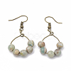 Natural Aqua Terra Jasper Dangle Earrings EJEW-S202-011B-3