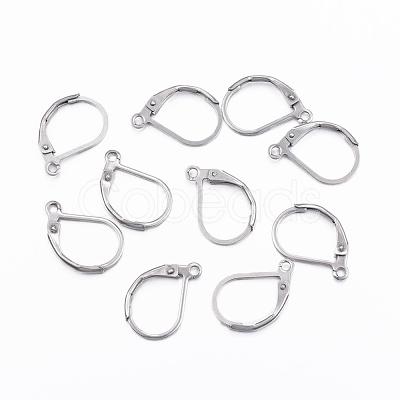 Tarnish Resistant 304 Stainless Steel Leverback Earring Findings STAS-F075-37P-A-1