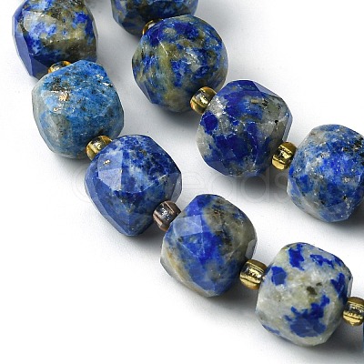 Natural Lapis Lazuli Beads Strands G-Q010-A03-01-1