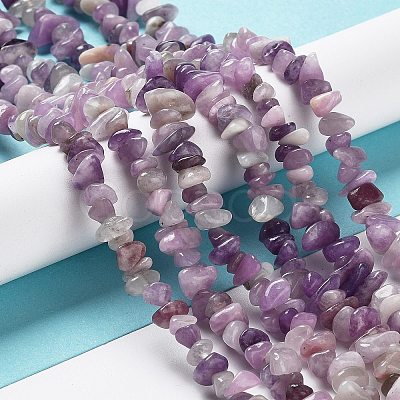 Natural Lepidolite/Purple Mica Stone Beads Strands X-G-P497-03A-06-1