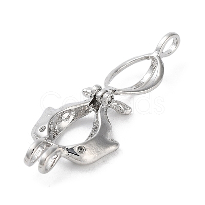 Alloy Bead Cage Pendants FIND-M012-01N-P-1