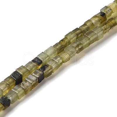 Natural Labradorite Beads Strands G-B064-A32-1