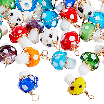 PandaHall Elit 30Pcs Handmade Lampwork Charms FIND-PH0007-96-1