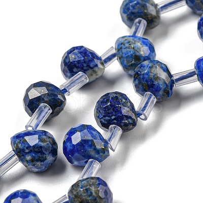 Natural Lapis Lazuli Beads Strands G-H297-B02-02-1