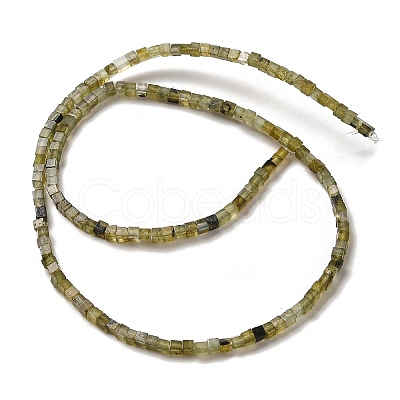 Natural Labradorite Beads Strands G-B064-A32-1