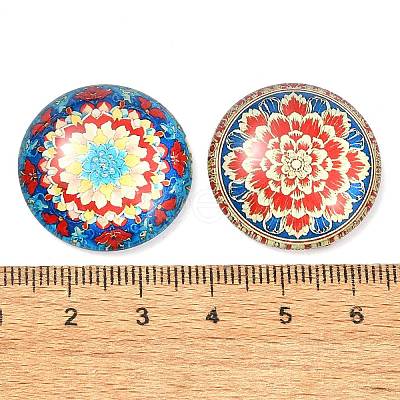 12Pcs Glass Cabochons GGLA-S059-05-1