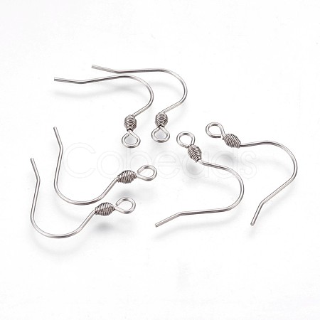 Tarnish Resistant 304 Stainless Steel Earring Hooks STAS-P220-12P-1