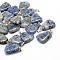 Trapezoid Natural Blue Spot Jasper Pendants, with Platinum Tone Brass Findings, 24~25.5x16.5~17x5~6mm, Hole: 2x7mm