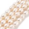 Natural Cultured Freshwater Pearl Beads Strands, Grade 4A, Oval, PeachPuff, 3.8~4.2mm, Hole: 0.6mm, about 30~31pcs/strand, 7.09''(18cm)