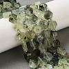 Natural Prehnite Beads Strands G-P534-A01-02-2