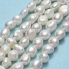 Natural Cultured Freshwater Pearl Beads Strands PEAR-A005-14-01-2