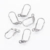 304 Stainless Steel Leverback Earring Findings STAS-G161-21A-1