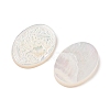 Natural White Shell Carved Cabochons SSHEL-I026-02A-02-2