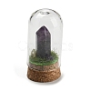 Natural Amethyst Bullet Display Decoration with Glass Dome Cloche Cover DJEW-B009-02B-1