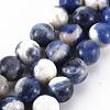 Natural Sodalite Beads Strands G-S279-10-8mm-1