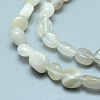 Natural Grey Moonstone Beads Strands X-G-D0002-B42-3