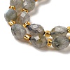 Natural Labradorite Beads Strands G-H295-C15-01-3