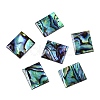 Natural Paua Shell Rectangle Cabochons SSHEL-T017-11-1