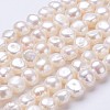 Natural Cultured Freshwater Pearl Beads Strands PEAR-P002-28-1