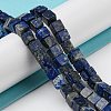 Natural Lapis Lazuli Beads Strands G-Q1008-B07-4