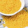 Baking Paint Glass Seed Beads SEED-P006-03A-04-1