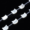 Natural White Shell Beads Strands SSHEL-S278-124A-1