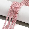 Natural Strawberry Quartz Beads Strands G-H042-B11-01A-2