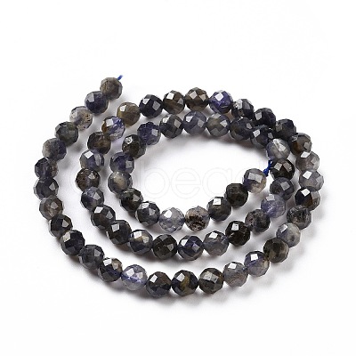 Natural Iolite Beads Strands G-P488-02B-1