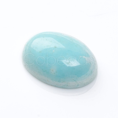 Natural Howlite Cabochons G-F677-09-C-1