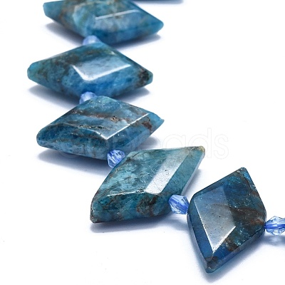 Natural Apatite Bead Strands G-O179-H27-1