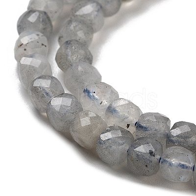 Natural Labradorite Beads Strands G-G140-C06-03-1