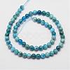 Natural Apatite Beads Strands G-D856-01-6.5mm-2