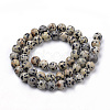 Natural Dalmatian Jasper Beads Strands G-S259-24-8mm-2