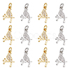 DICOSMETIC 12Pcs 2 Colors Brass Micro Pave Clear Cubic Zirconia Charms FIND-DC0003-27-1