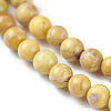 Natural Imperial Jasper Beads Strands G-I248-03-4